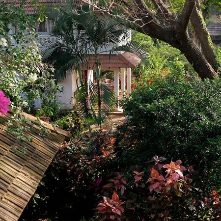 Gaia'S Garden Guest House Auroville Kültér fotó