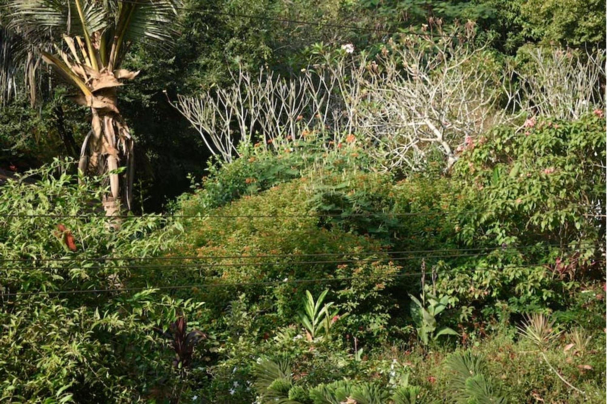 Gaia'S Garden Guest House Auroville Kültér fotó