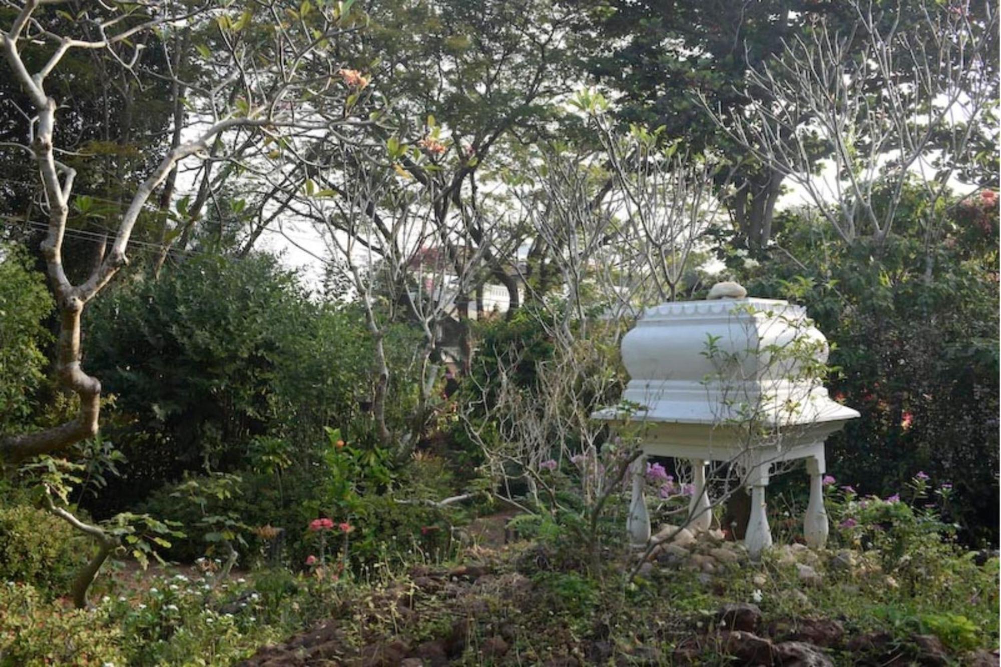 Gaia'S Garden Guest House Auroville Kültér fotó