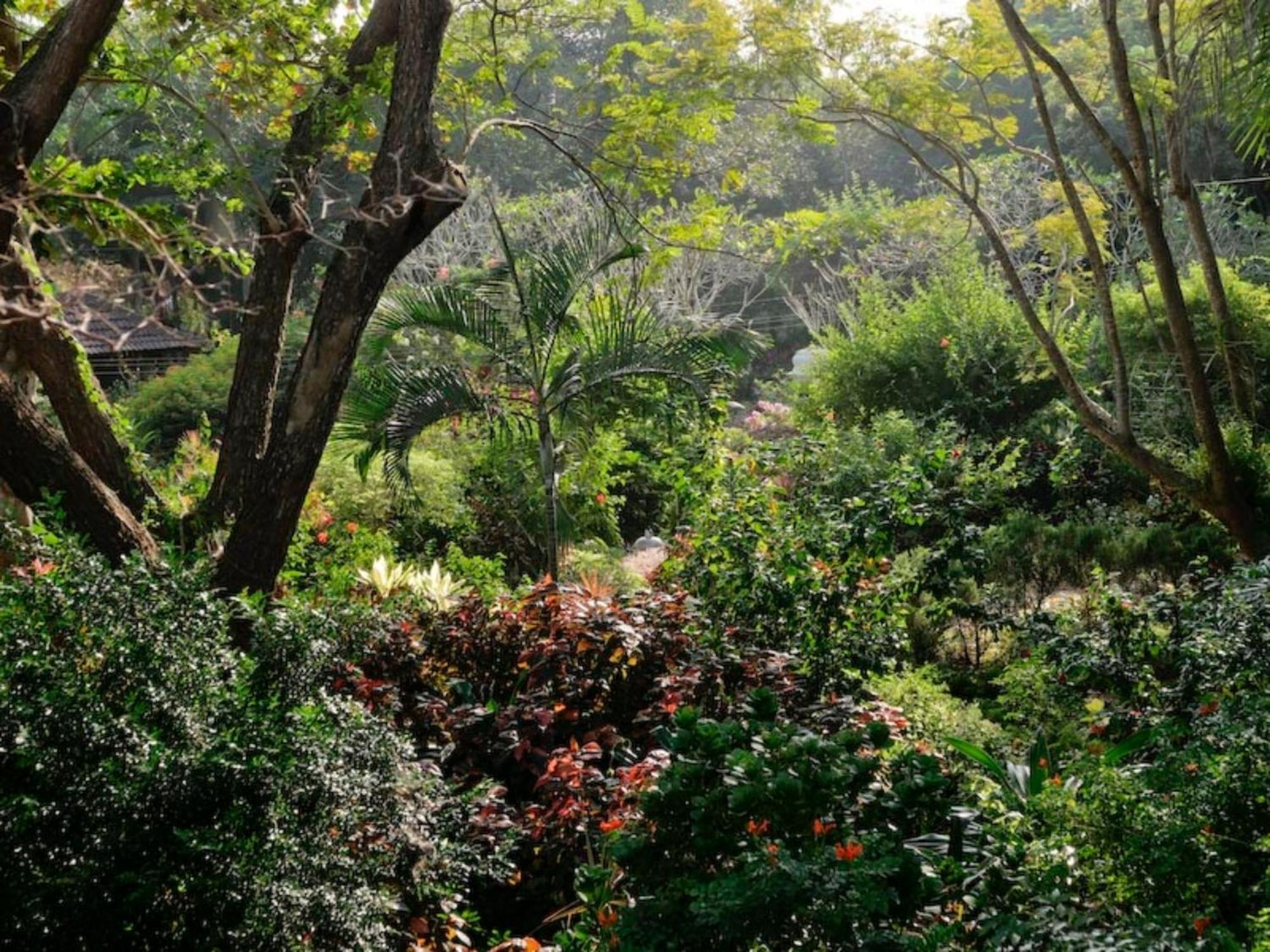 Gaia'S Garden Guest House Auroville Kültér fotó
